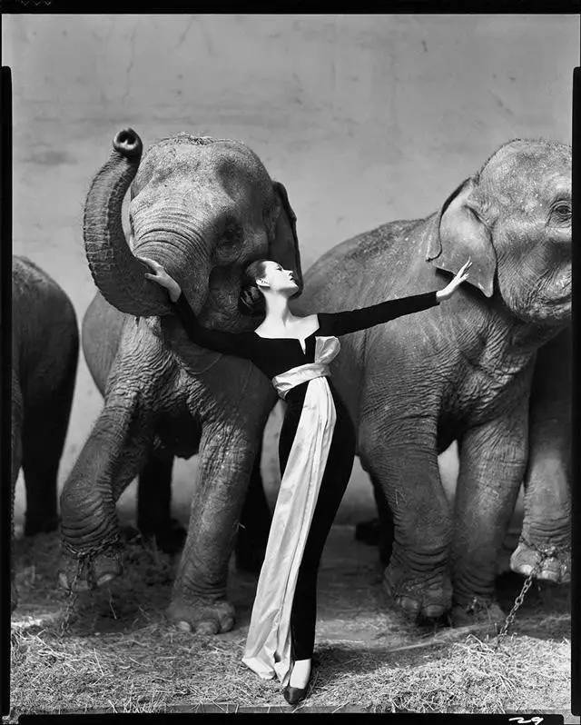 玛丽艾伦马克(mary-ellen mark(1940-2015)