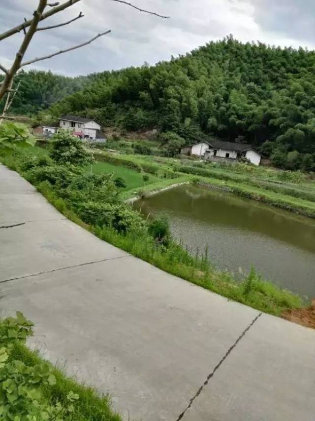 川山坪图片