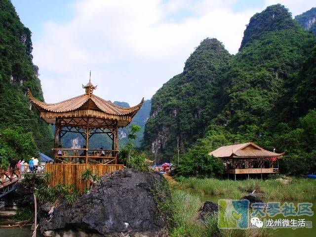 龙州樱花谷旅游风景区图片