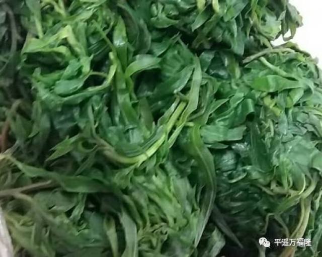 【萬福隆連鎖超市】綠色野菜——掃帚菜,甜苣菜