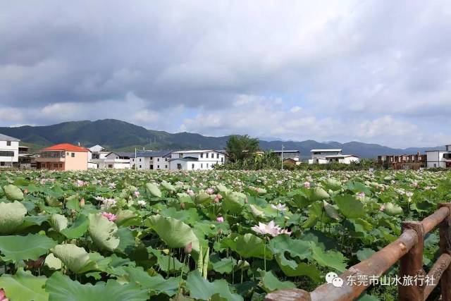 梅州,蕉嶺,白宮河兩天遊