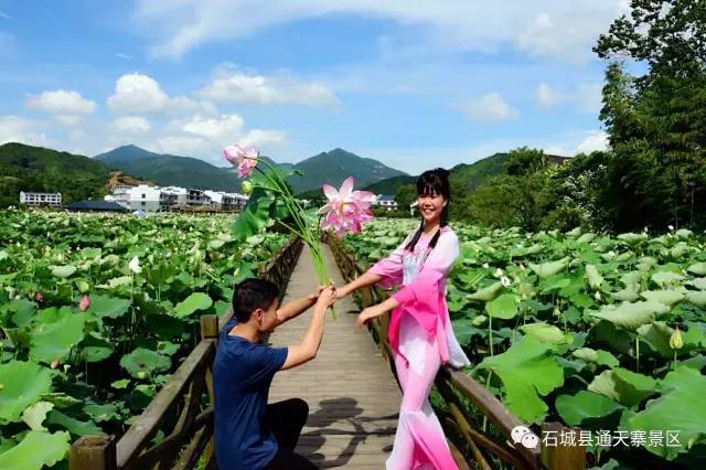 震惊!八仙来石城过"海"了