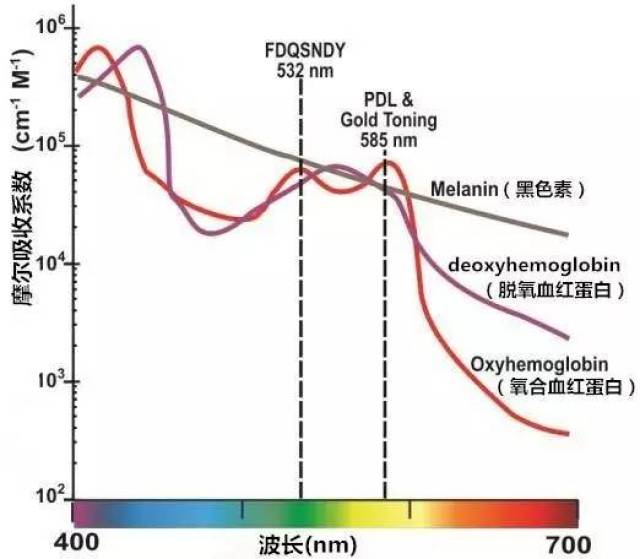 585nm 波长常见用于血管治疗,并采用较长脉宽(毫秒为单位,利用选择性