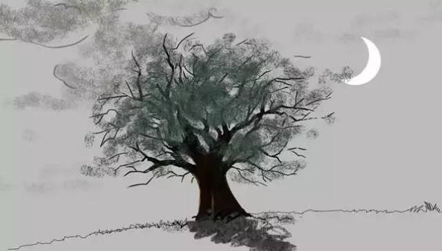 现代诗《树》艾青插图图片
