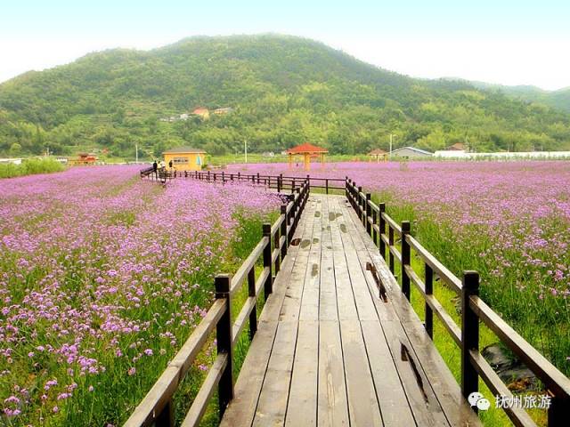 花果山生態園