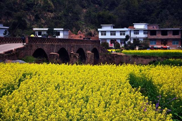 鸭路,坑背,五丰,小坑,中院,茶红,兰台,南岸,长塘,江边,黄泥湖,凫田村