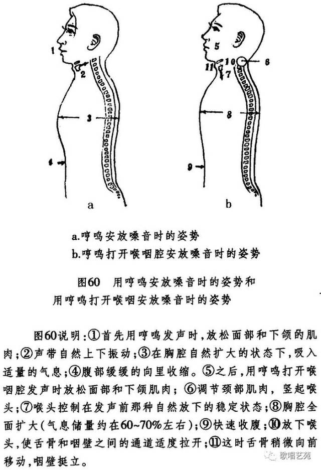 唱歌时腔体打开示意图图片