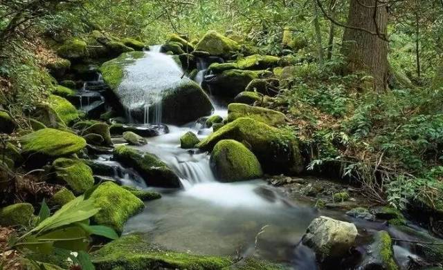 野泉煙火白雲間,坐飲香茶愛此山. 巖下維舟不忍去,青溪流水暮潺潺.