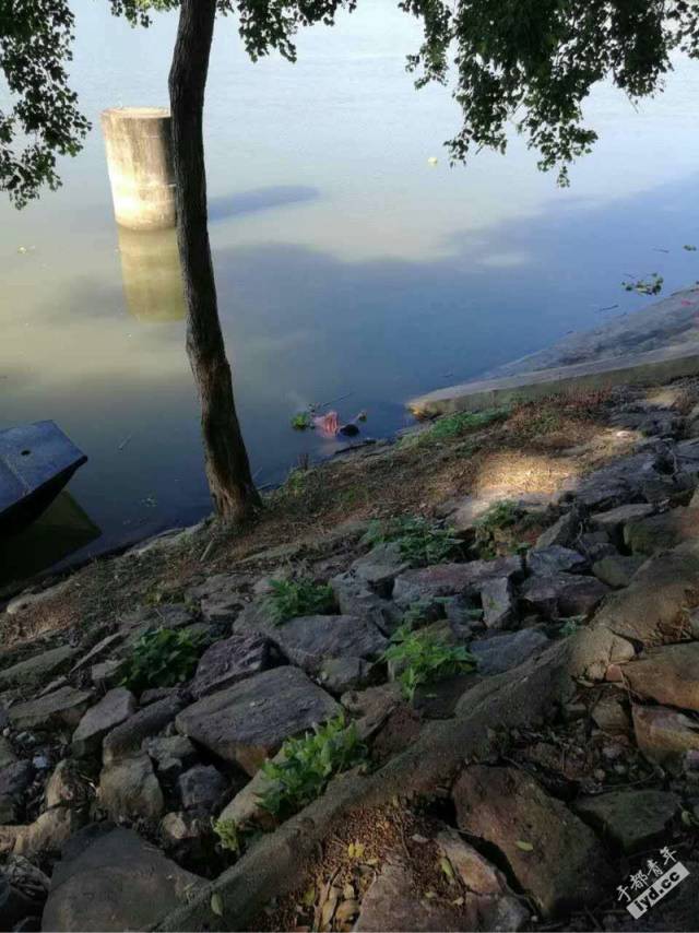 江苏河道发现20岁女尸图片