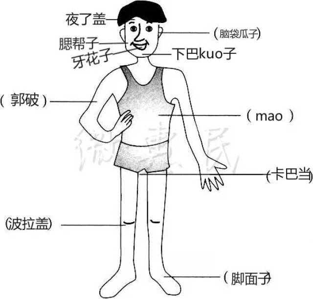 史滴慌图片图片