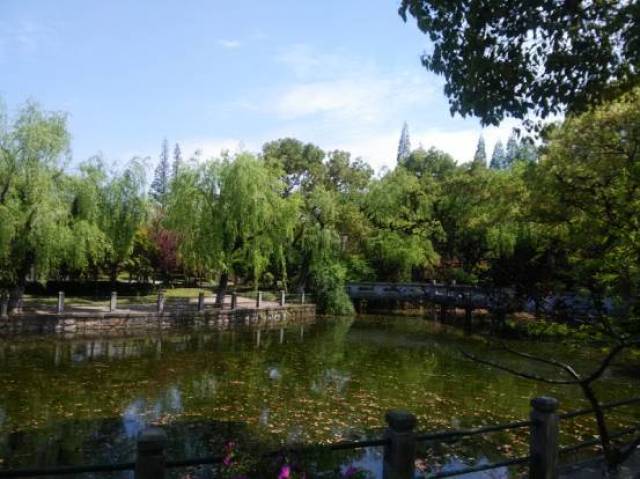 【每日一园】亭林古文化遗址保护点——亭林公园!