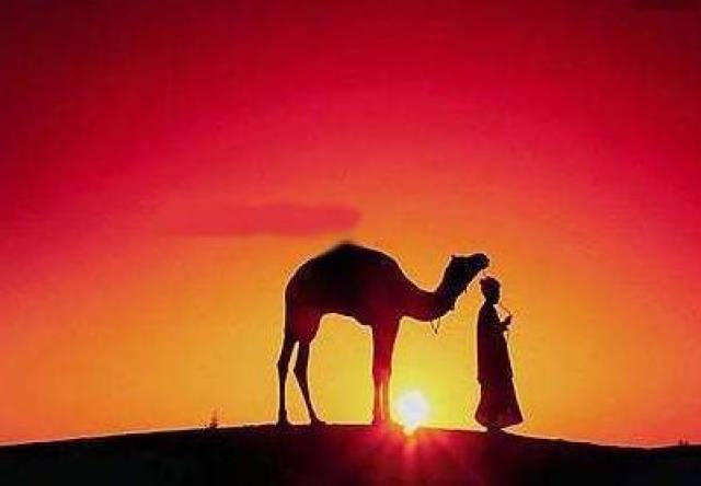 三毛《撒哈拉的故事》--予我一匹马,与你