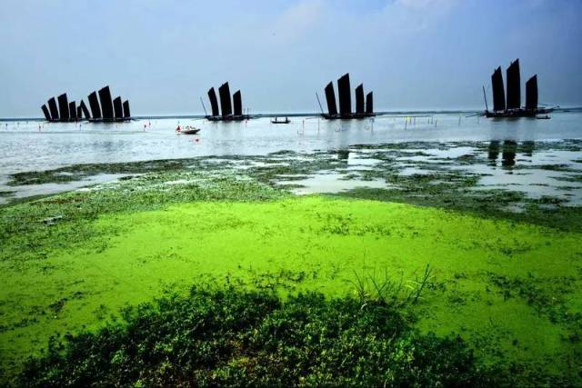 生態高郵湖將實施最大規模退圩還湖相當於擴大湖面120