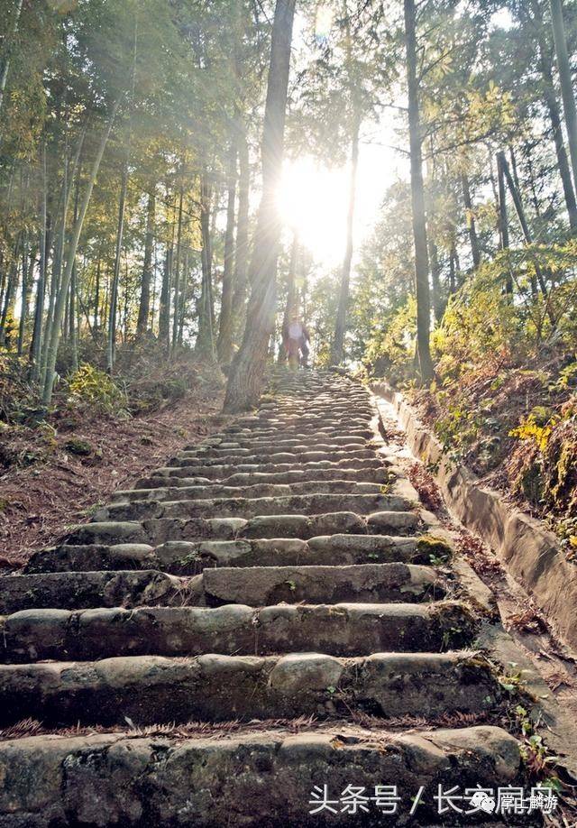 抚州青莲山简介图片