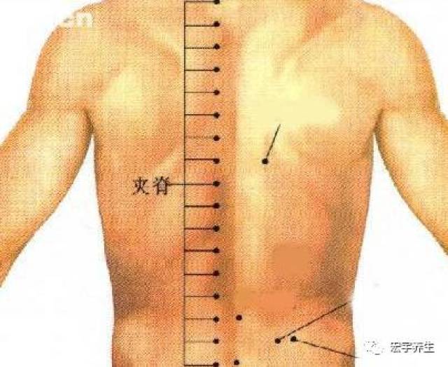 胸夹脊的准确位置图片图片