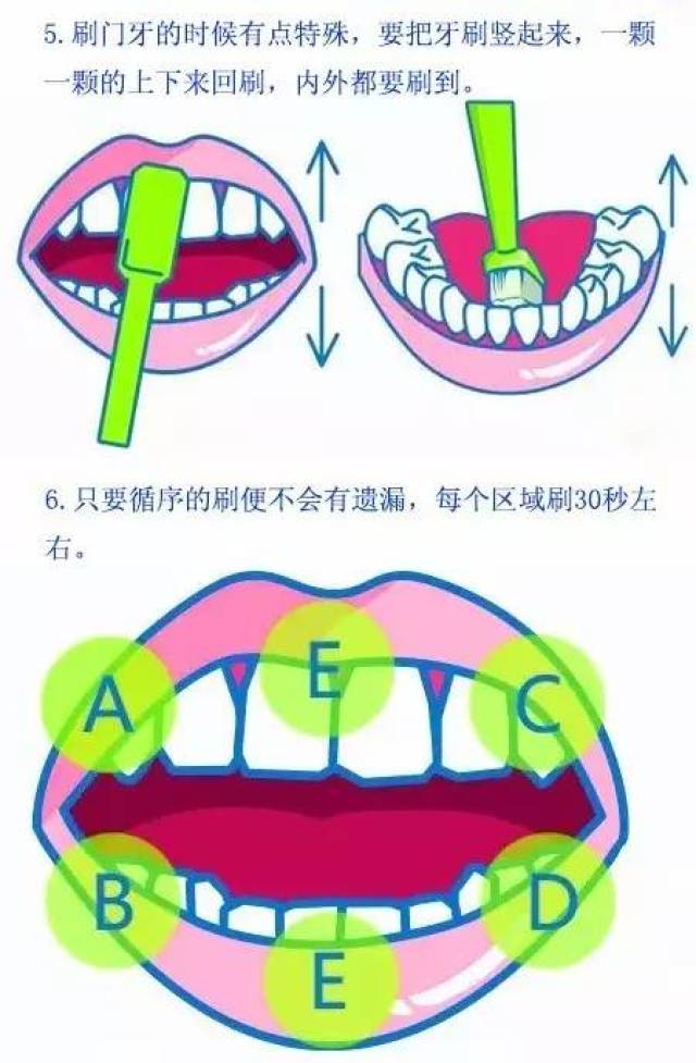 巴氏刷牙法的具體方法與步驟如下: 即使是按照