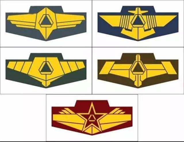 五大军种胸标图片