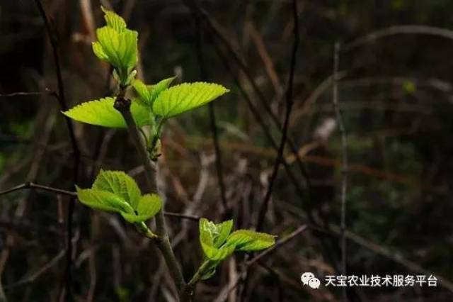 农视网致富经_致富经20130102农视网_致富频道