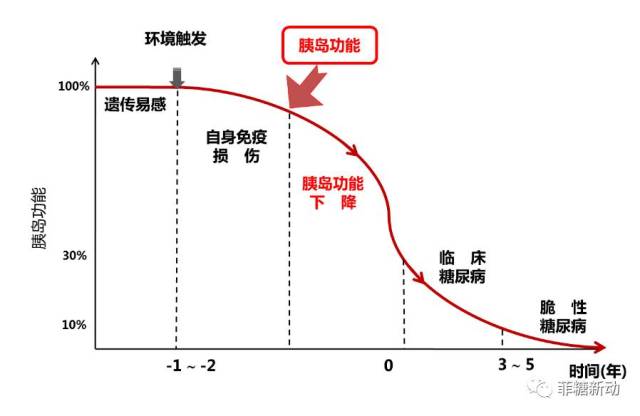 【胰島β細胞專題】探索糖尿病核心發病機制,評估胰島功能開啟個體化