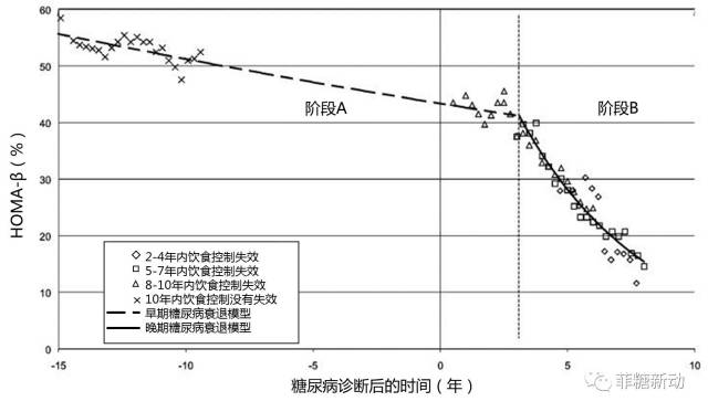 【胰島β細胞專題】探索糖尿病核心發病機制,評估胰島功能開啟個體化