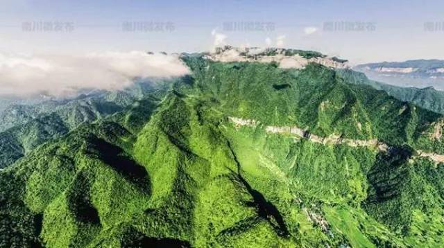 南川 —柏枝山上,有点甜!蜂蜜,总是给人甜蜜的感觉