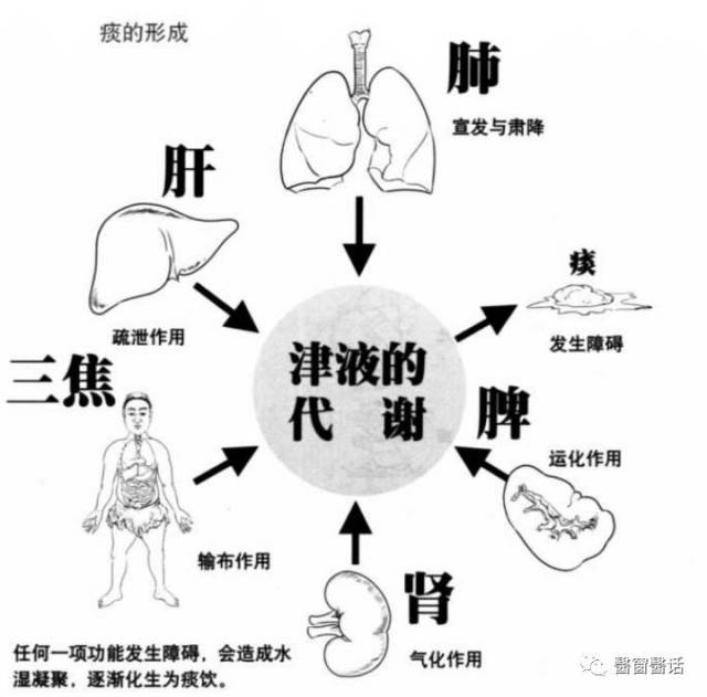 津液病,痰火扰心,痰迷心窍,外感湿浊,心脉痹阻区别