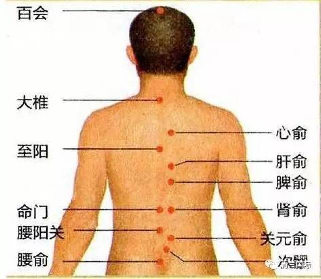 艾灸腰间盘突出位置图图片