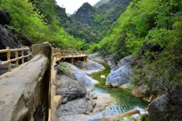 天竺山森林公園森林覆蓋率達