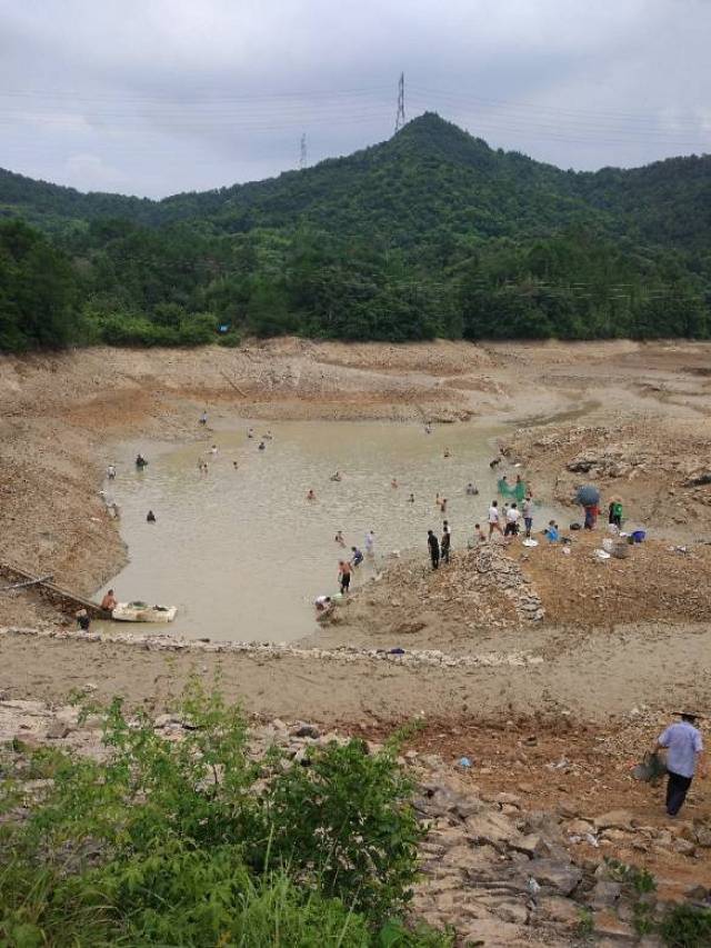 水库翻修放水,村民乘机"浑水摸鱼"