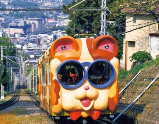 日本推出全世界第一列猫火车,满满一车的萌