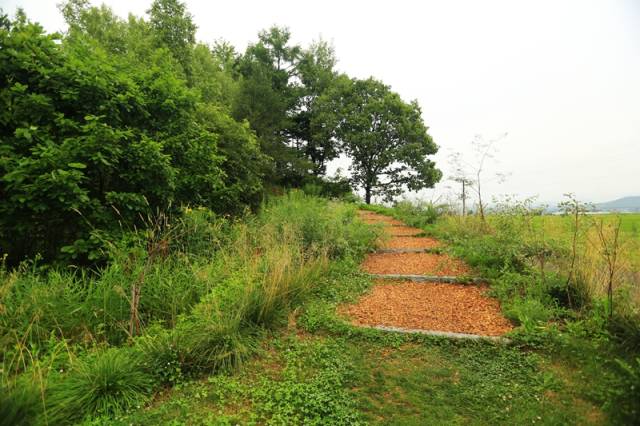 上野農場印象--辛勤的園丁