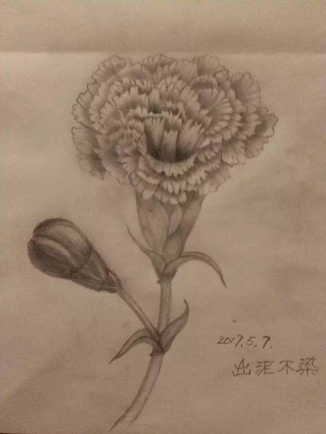 母亲节素描绘画作品图片