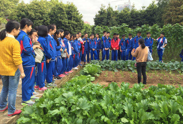 魅力金广 活力奥园 广附系列学校巡礼之白云广附实验学校