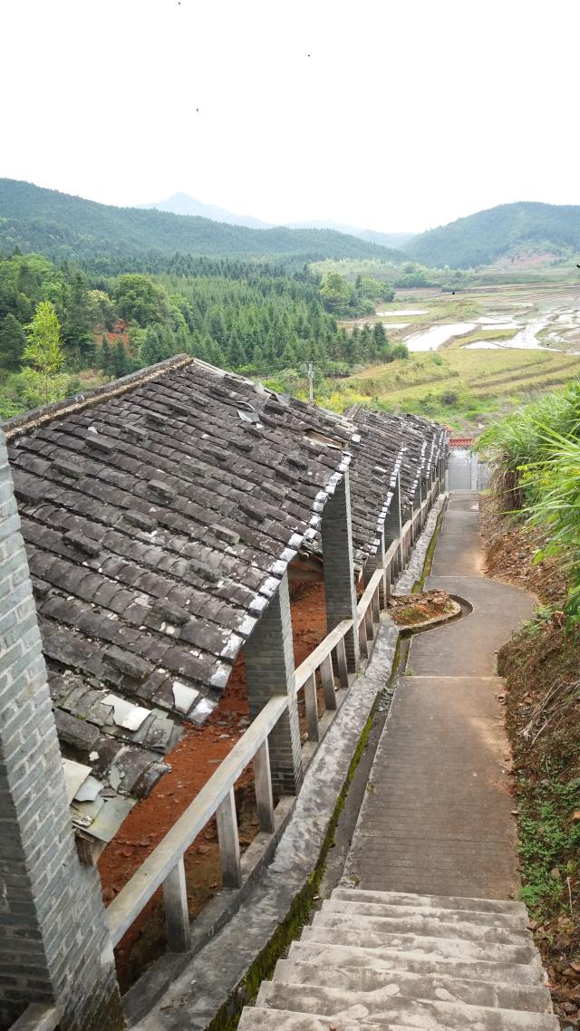 我们到达后井村的龙窑遗址时大门紧闭,后来询问了很多村民后才联系到