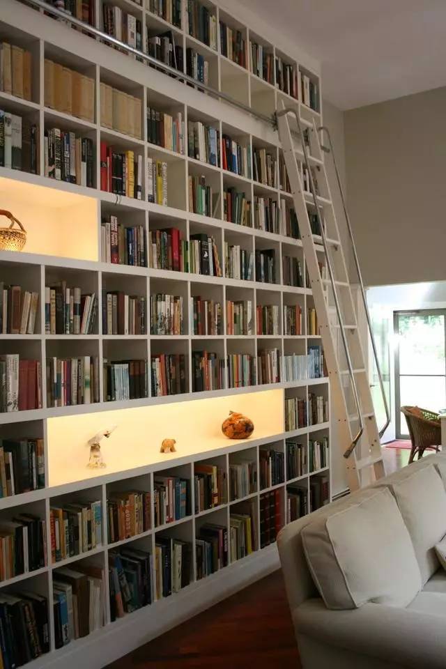一面墙通顶书柜效果图图片