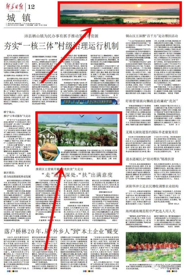 2017年,6月15日《新华日报》在报眼和主图点赞我们房湾湿地, 尽情的