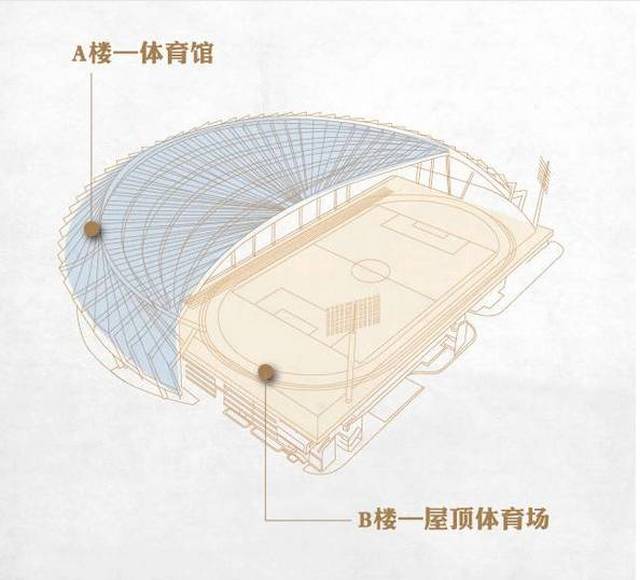 静安体育中心 平面图图片