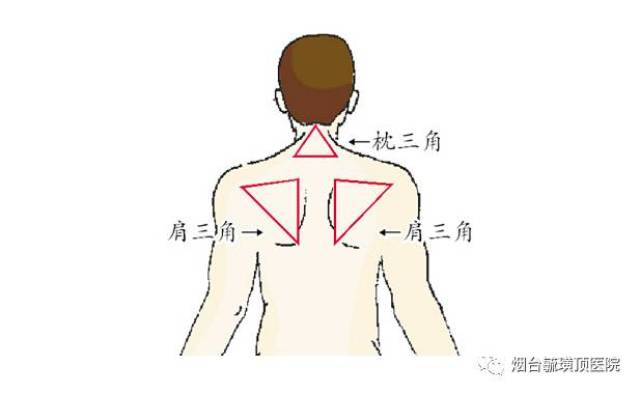 乱挤痘痘真的会致命吗?关于人体「三角区,这 4 点要知道