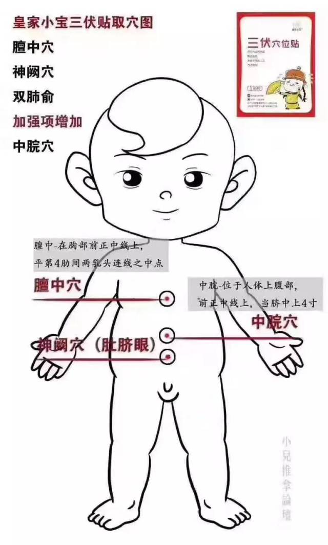 小儿三伏贴位置图片图片