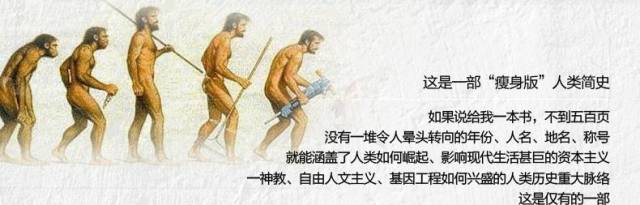 智人观后感图片