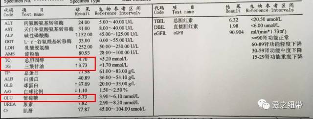 血脂 血脂:在這張血生化化驗單中,表示血脂的指標有