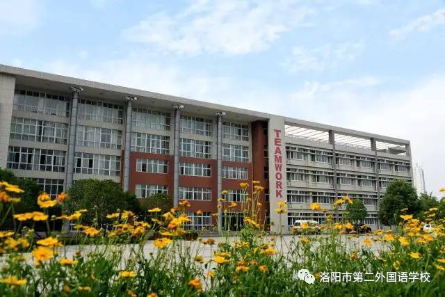 二外,小八中,地矿…洛阳这些学校住宿,军训,分班信息确定!