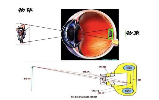 眼球解剖到最前沿的屈光手术,给大家做一次系统通俗的眼科知识大串烧