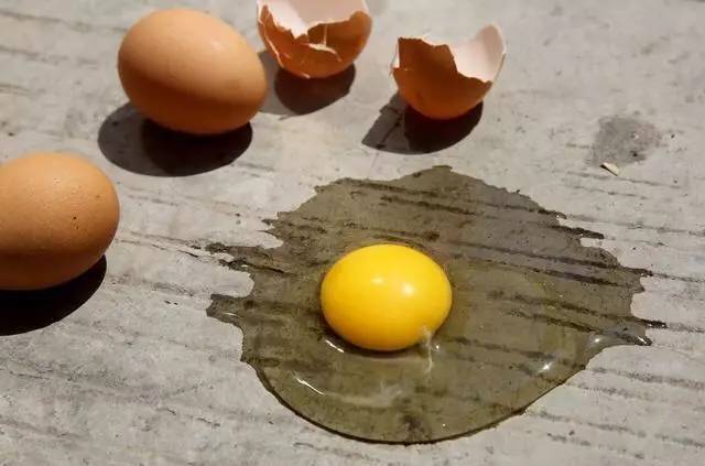 鸡蛋在地上滚的图片图片