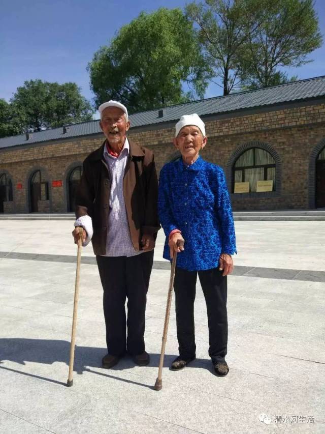 小三毛土左旗图片