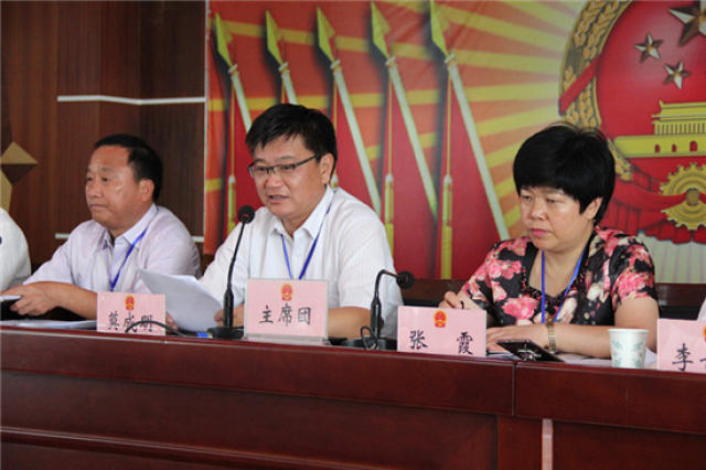马坝镇第四届人民代表大会检阅为民办实事成果