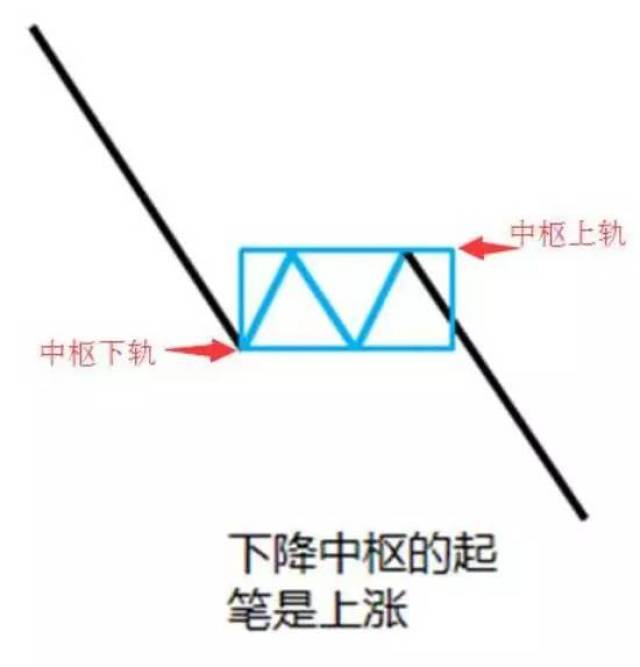 正确的中枢画法图片