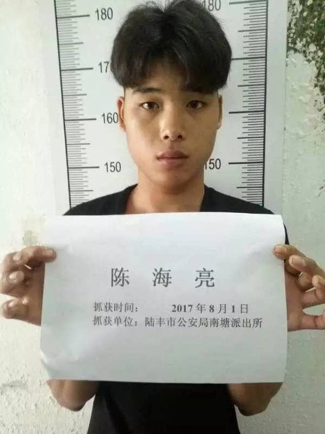 違法必懲 在逃必抓 3名涉逃人員向陸豐警方投案自首