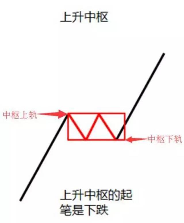 正确的中枢画法图片