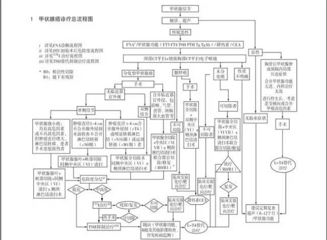 院讯|南京专家绘出江苏首份"甲状腺癌诊治流程图"